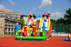 Image466
