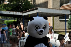 Image603