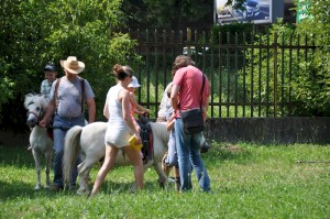 Image702