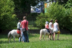 Image703