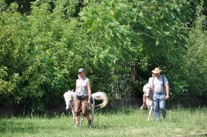 Image704