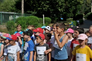 Image81